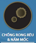 Sơn ngoại thất Jotun Tough Shield Chống rong rêu và nấm mốc